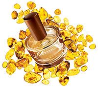 Água de Colônia Warm Amber - 50 ml