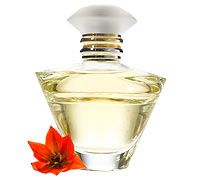 Journey® Eau de Parfum - 50ml
